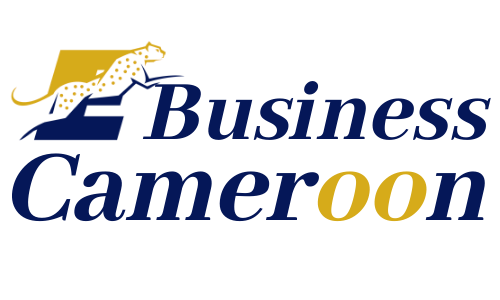 E-Business Cameroun
